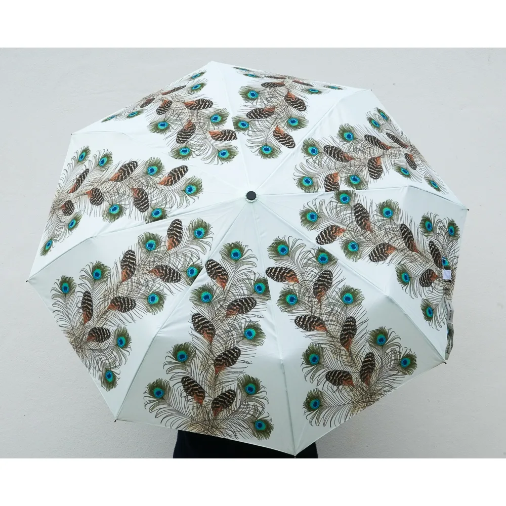 Chapéu de Chuva - Pavão